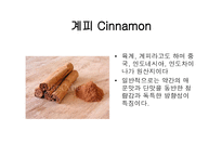 스파이스 - 향신료 정의 -6