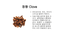 스파이스 - 향신료 정의 -7