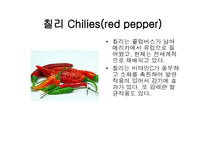 스파이스 - 향신료 정의 -8