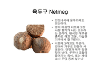 스파이스 - 향신료 정의 -9