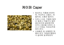 스파이스 - 향신료 정의 -10
