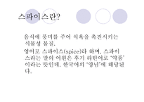허브와 스파이스 - 허브란 -3