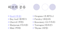 허브와 스파이스 - 허브란 -6