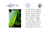 허브와 스파이스 - 허브란 -7