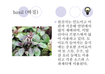 허브와 스파이스 - 허브란 -19