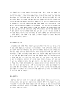 레포트 - 이미지와 영상, 상품미학, 문화 제국주의와 문화상대주의 -3