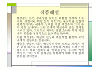 토론 - 백성수는 유죄인가 -8