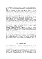 나의 미해결 과제와 그 과제가 미치는 영향 -5