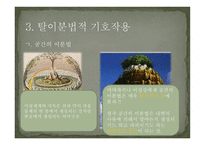 문화 생성의 동력 양성성 -13