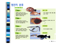 생선이란 - 생선의 영양과 가치 -7