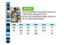 생선이란 - 생선의 영양과 가치 -8