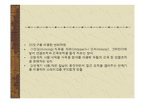 양식 - 육류의 이해와 조리 -7