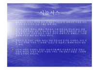 독후감 - 금홍아,금홍아 -13