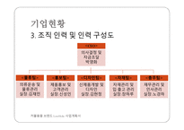 커플용품 브랜드 LoveHolic 사업계획서 -5
