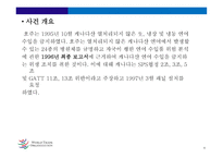 세계무역기구 (World Trade Organization) -9