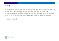 세계무역기구 (World Trade Organization) -19
