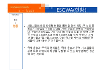 ESCWA의 정의, 현황, 역할   -4