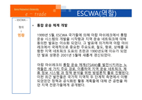 ESCWA의 정의, 현황, 역할   -5