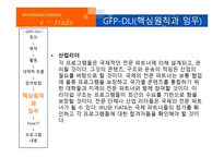 ESCWA의 정의, 현황, 역할   -16