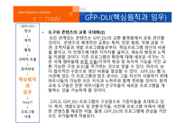 ESCWA의 정의, 현황, 역할   -18