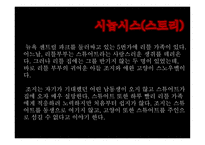 문화 콘텐츠 -스튜어트 리틀 영화 기획서 -2