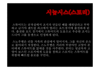 문화 콘텐츠 -스튜어트 리틀 영화 기획서 -3