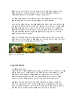 국내 TV 광고 - 21세기 국내 TV광고의 트렌드 분석 -11