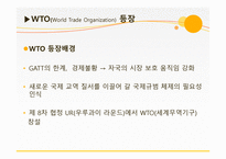 2차 대전 동부전선 (히틀러(독일)-러시아) 전쟁 -20