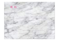 맛사랑 -안주 take out전문점- (사업계획서) -2