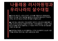 나폴레옹 -  러시아전쟁 -14