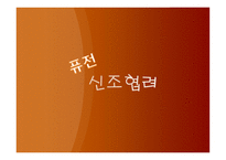 퓨전 신조협려 영화 - 기획의도 -1