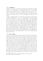 인터넷을 통해서 보는 개인이라는 아이덴티티의 유형 및 문제점 고찰 -2