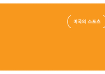 미국의 스포츠 - 단어정리 -1