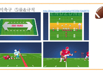 미국의 스포츠 - 단어정리 -12