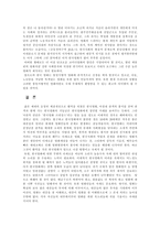 영화의 이해 - 한국영화의 미래 -9