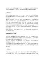 동기부여 내용이론에 대해 설명하시오-4