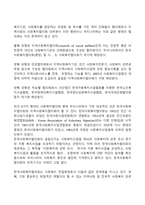 사회복지행정서비스의 사적 전달체계의 현황과 특징(민간 사회복지서비스 전달체계의 필요성, 분류, 실태)-5