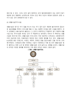 사회복지행정서비스의 사적 전달체계의 현황과 특징(민간 사회복지서비스 전달체계의 필요성, 분류, 실태)-7