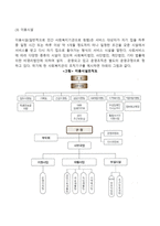 사회복지행정서비스의 사적 전달체계의 현황과 특징(민간 사회복지서비스 전달체계의 필요성, 분류, 실태)-9
