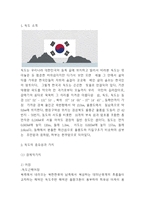 독도문제와 발생원인 및 분쟁 사례분석과 독도문제 대처방안 제시와 나의의견정리 - 독도문제 연구레포트-3