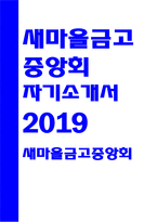 새마을금고중앙회자소서자기소개서 새마을금고중앙회자소서 새마을금고중앙회자기소개서 새마을금고중앙회자소서 새마을금고중앙회자기소개서 새마을금고중앙회자소서-1