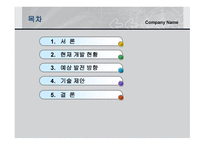 재무설계 관하여   현황, 방향   -2