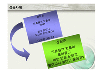 재무설계 및 성공사례 - 필요성, 3원칙 -13