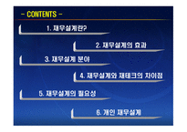 재무공학 - 재무설계 효과, 분야 -2