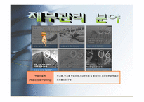 재무설계 - 정의, 효과, 분야    -9