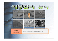 재무설계 - 정의, 효과, 분야    -10