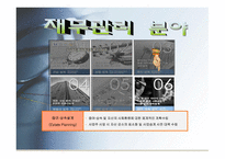 재무설계 - 정의, 효과, 분야    -11