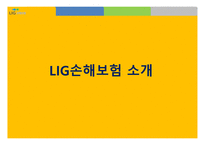 L I G 손해보험 - 회사소개, 인사관리 -3