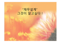 재무설계 - 개념, 분야, 필요성 -1