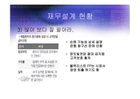 재무 설계 및 성공 사례 - 단계, 변화, 현황 -14